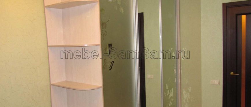 Шкаф-купе "БАБОЧКА" купить шкаф мебель на заказ по индивидуальным размерам от производителя Mebel SamSam в Пензе Пенза