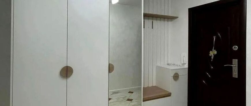 Шкаф с зеркалом в прихожую (6) на заказ по индивидуальным размерам от производителя Mebel SamSam в Пензе Пенза